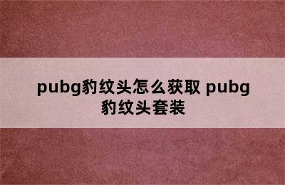 pubg豹纹头怎么获取 pubg豹纹头套装